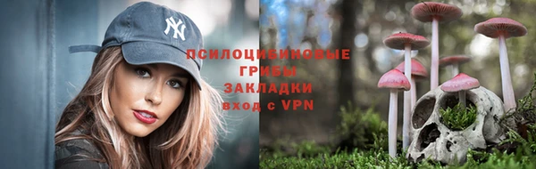 гидра Абаза