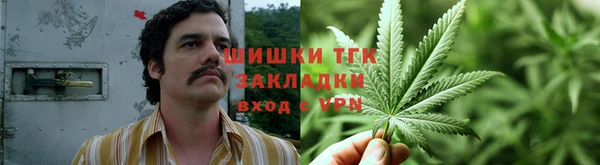 гидра Абаза