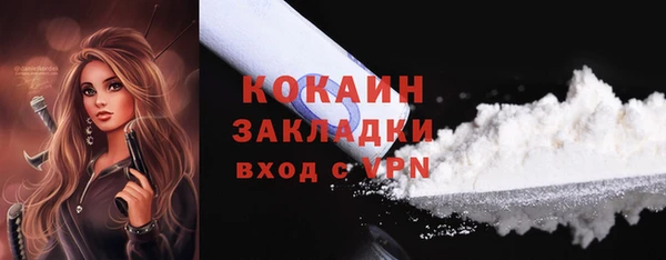 гидра Абаза