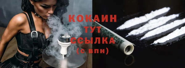 гидра Абаза