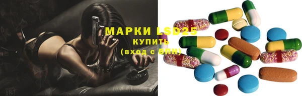 гидра Абаза