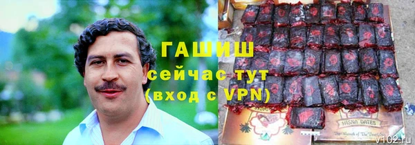 гидра Абаза