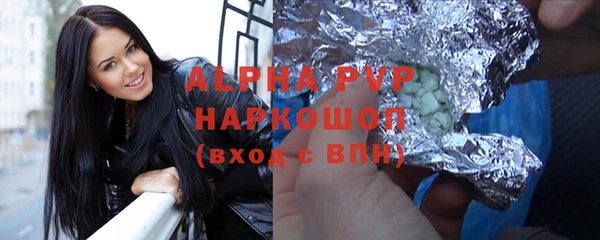гидра Абаза